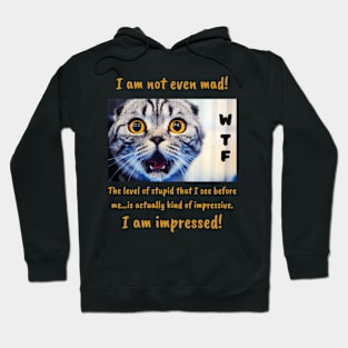 Cat Hoodie